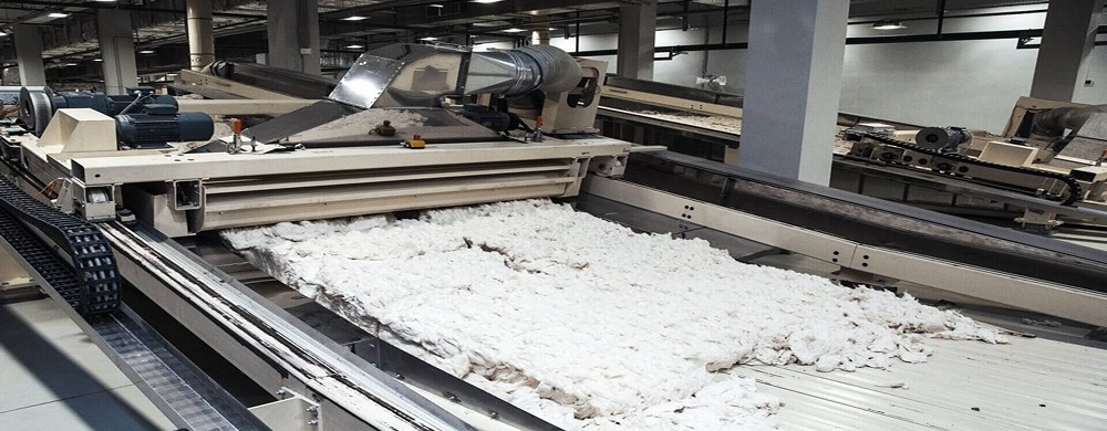 What equipment does a paper plant need and how much does it cost