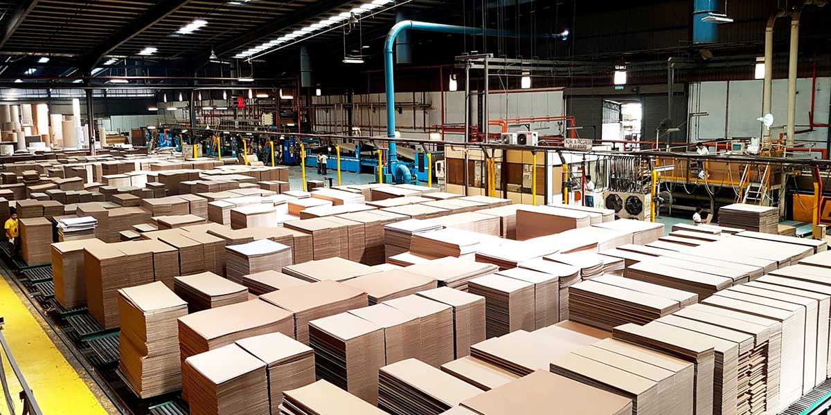 What Makes the Best Cardboard company?