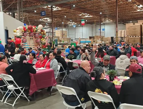 Aopack Installs New Auto Feeding & Stacking System for Advanced Box Making Machine in California