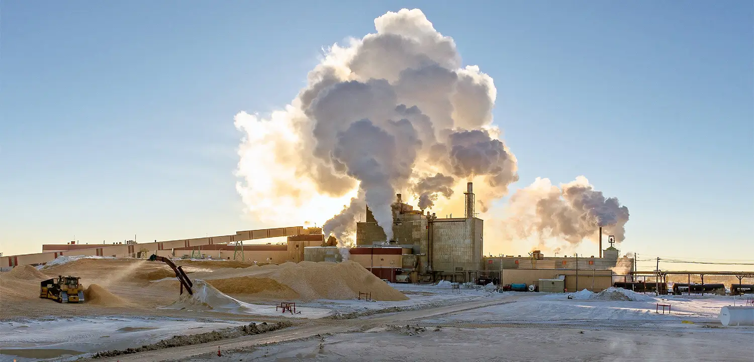 Wood Pulp Processing
